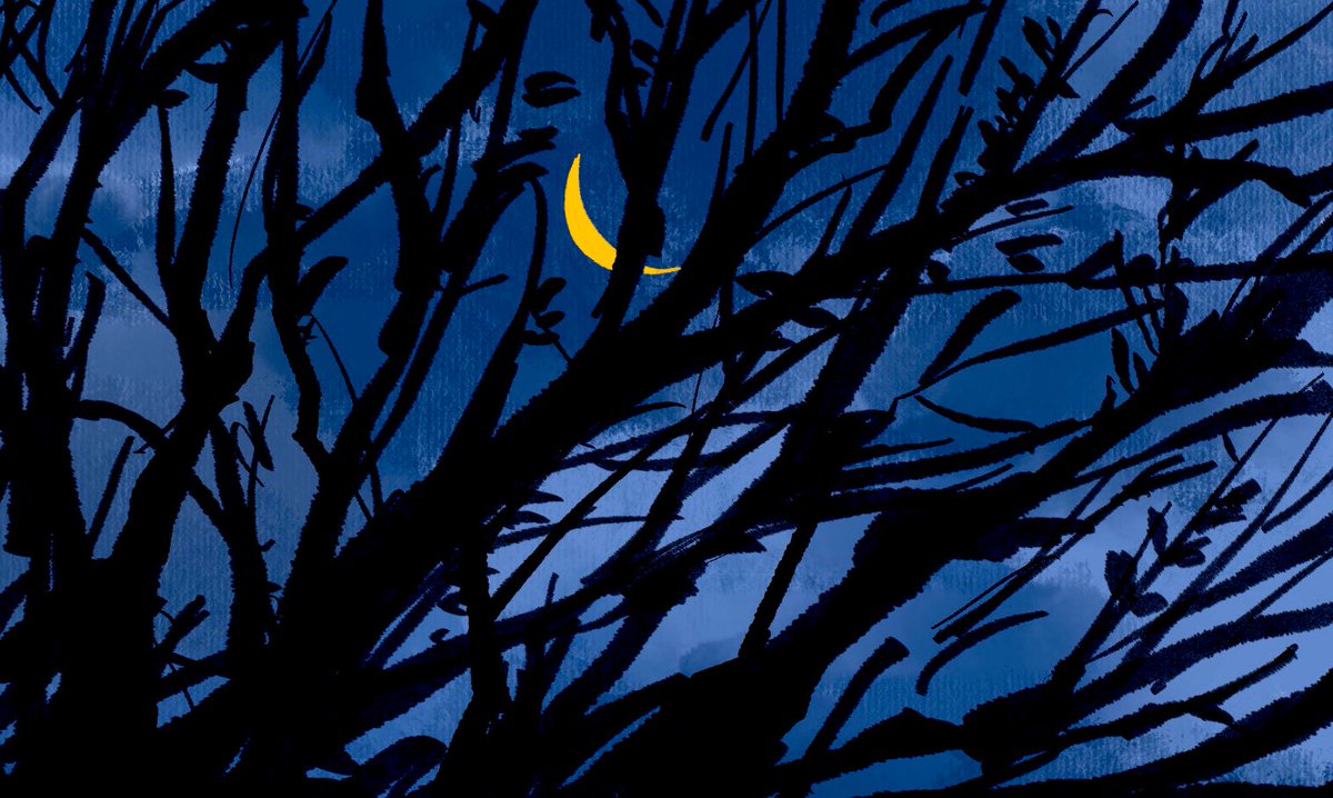 「帰り道 木の枝の向こうに見える三日月が何か起きそうで良いなと思って描いた 」|夜のイラスト