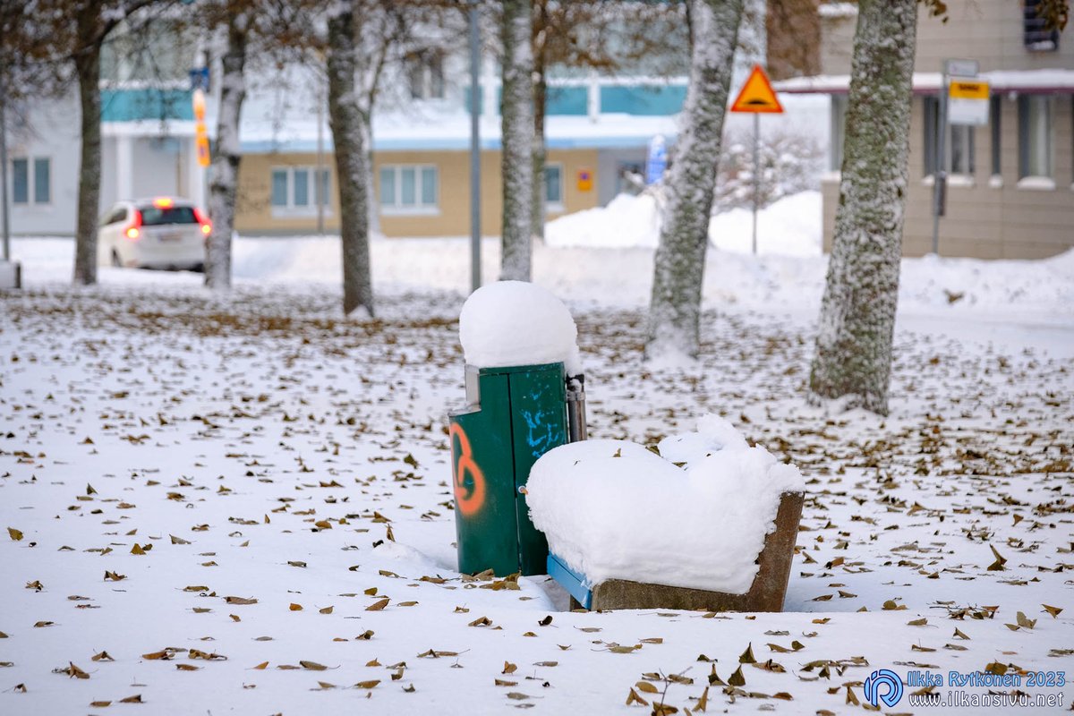 Petosella oli erikoinen näky tänään, kun tuoreen lumen päällä oli paljon puista tippuneita lehtiä. #kuopio #petonen #finland #ylesää #mtvsaa #visitfinland @OurFinland