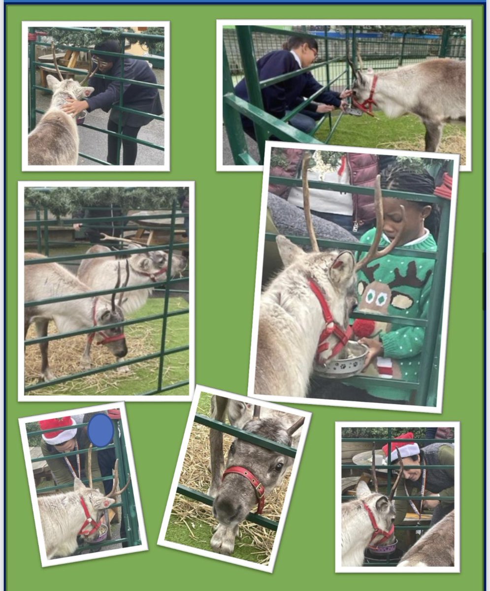 We loved seeing the reindeer at <a href="/SavioursSchool/">St Saviour's</a>