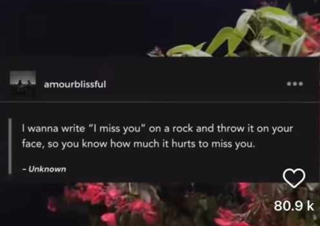 Samreen Khan tweet media