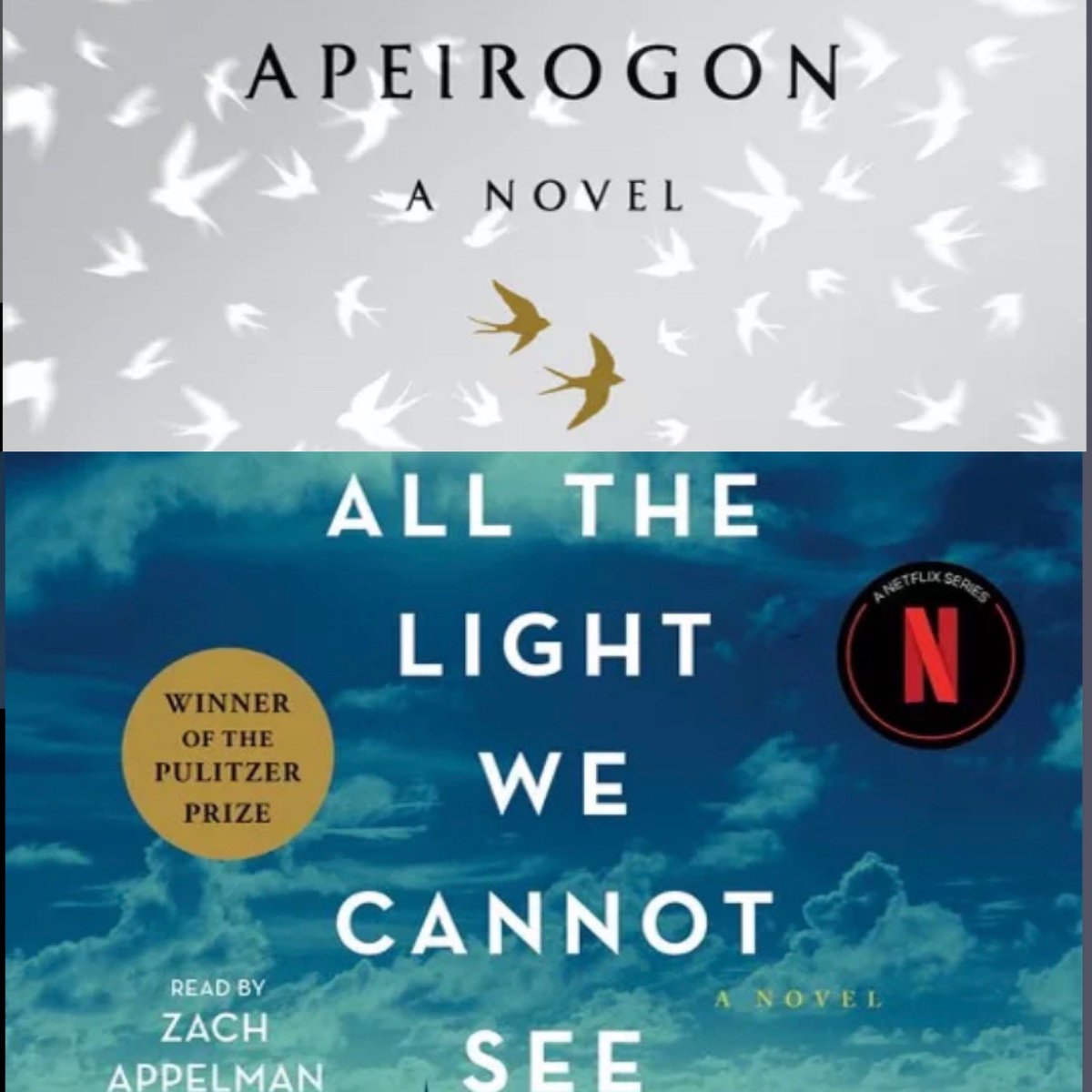 I’ve done well with my reading goals this year, but haven’t posted much. But my last two reads felt especially poignant given world events. 🧵(1/9) #Apeirogon #AllTheLightWeCannotSee #ColumMcCann #AnthonyDoerr