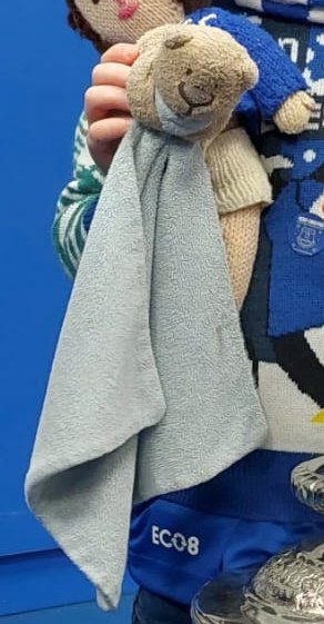 After a wonderful morning at Goodison my son dropped his Teddy. He has had him since birth and is beside himself he has lost him. I'm hoping the power of social media can help in getting people at the club to look for it at the ground or shop. I'm hoping for a Christmas miracle.