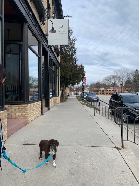PaddockClub's tweet image. new puppy spotted outside #paddockclub #elkhartlake