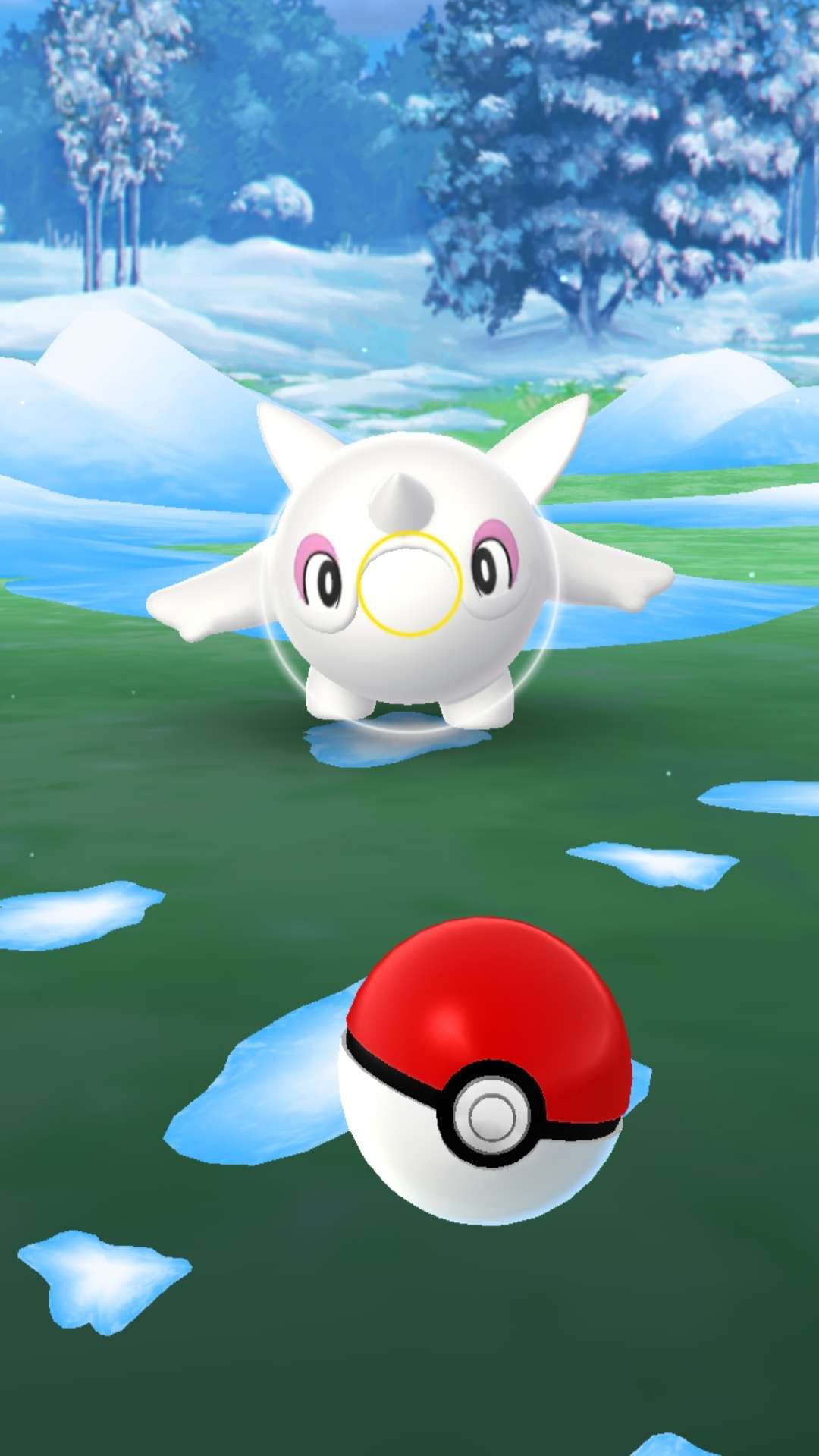PoGOCentral on X: “Cetoddle is here in Pokémon GO alongside Winter 