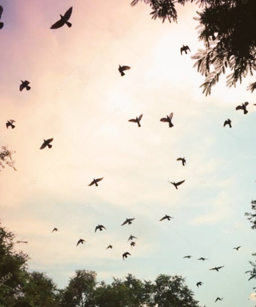 _masalgibi's tweet image. .
.
.
şimdi ...

İçimizde ki acının günahı 
kime yazıLsın |•`🌿
**