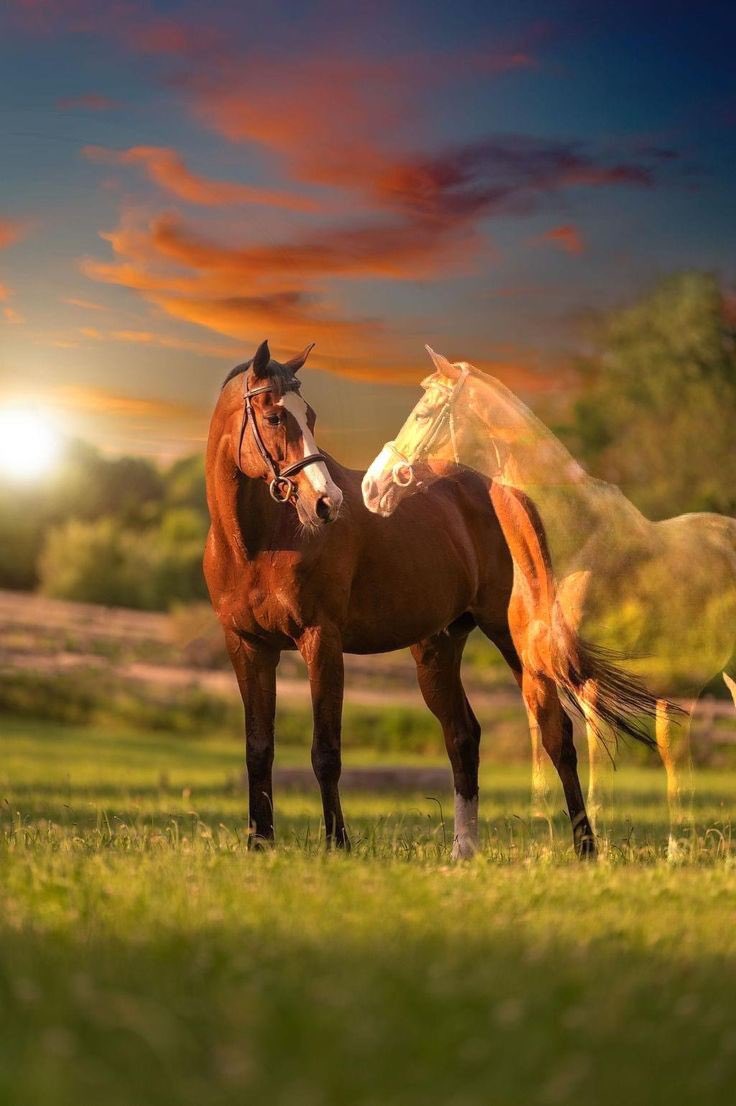 دايم على بالي ولا يوم ناسيك 
وانته لزيم الروح وأكثر شويه  

بدرب المعزه أشهد اني مخاويك  
وأخترت شخصك بين كل البريه 

الرب يعلم بالغلا كثر مغليك  
ودايم مكانك في الشموخ العليه♥️🍃
 
 #خواطر_من_القلب