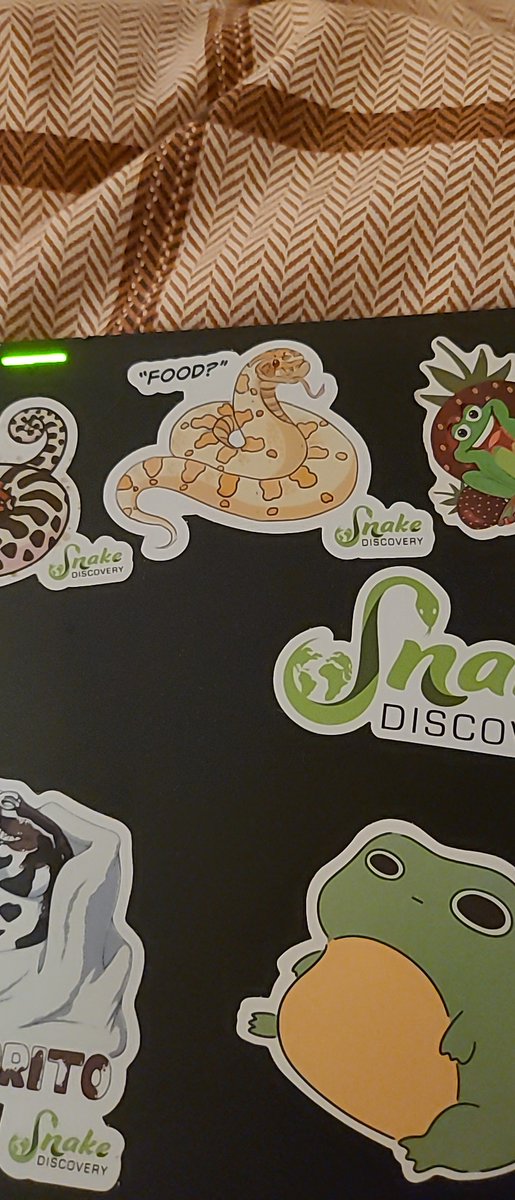 Nice little addition to my @SnakeDiscovery covered laptop