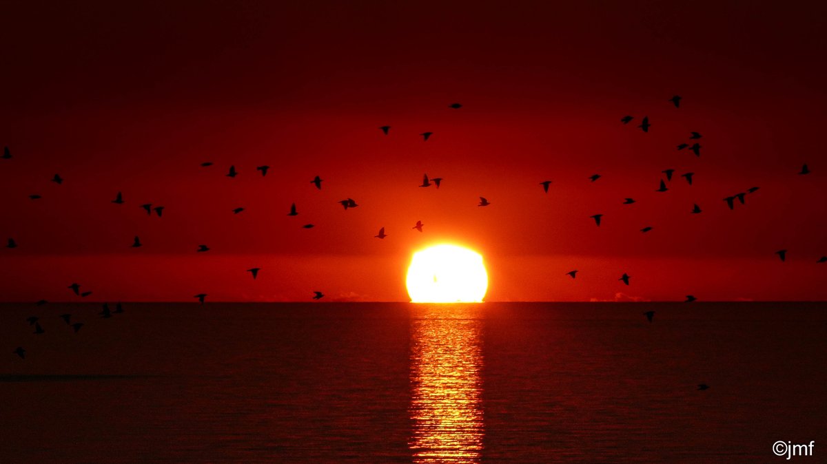 Coucher de soleil du jour sur lle golfe d'Ajaccio
#Porticcio #Ajaccio #Corse #Corsica #Island #Photography