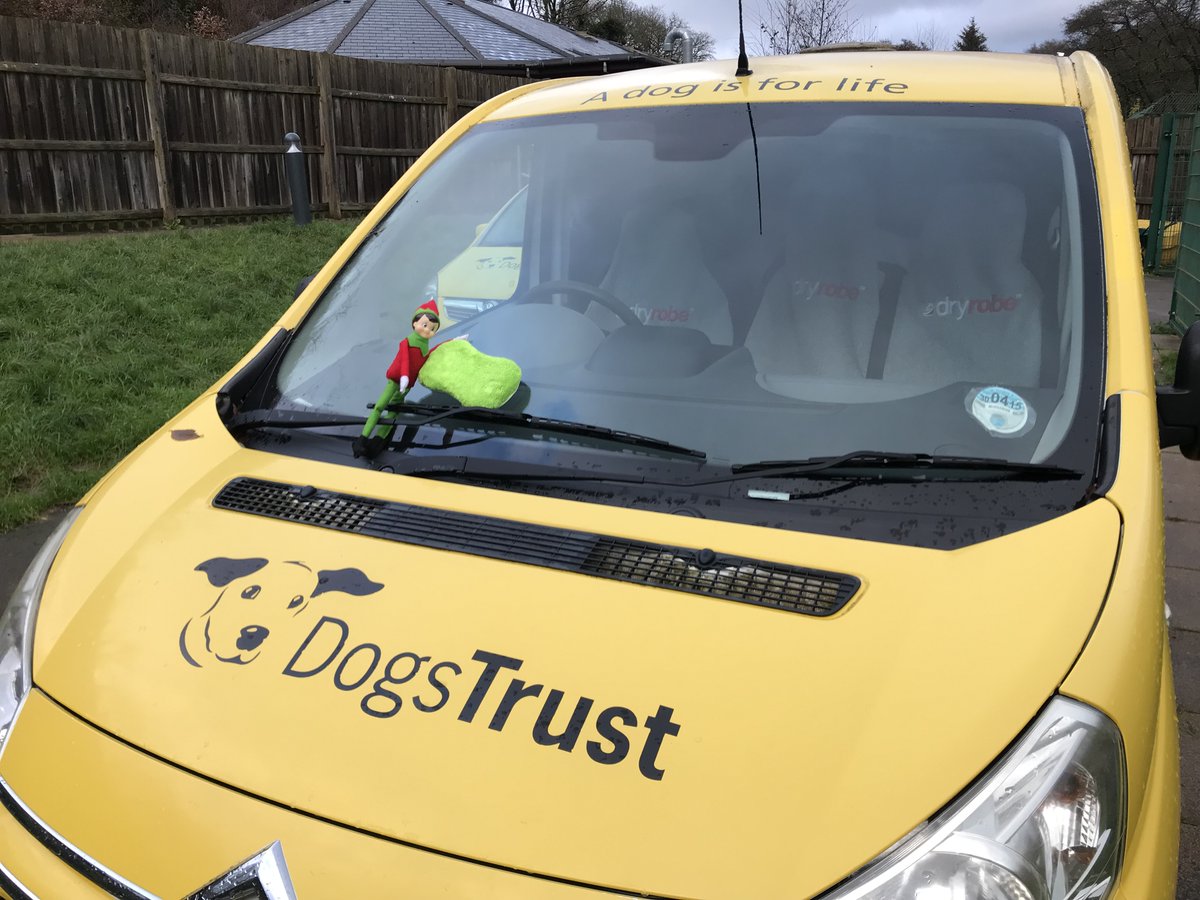 Well, Elf, I guess someone has to wash the van. 💛🐶💛 🐾 The Dogs Trust van, for trips off-site to go off and find new walkies, and to visit the vets.