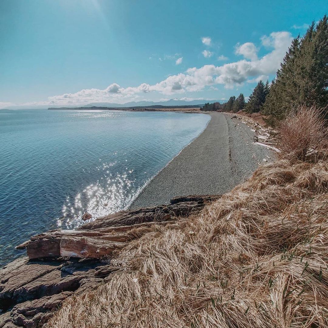 Do you recognize this spot? Share your guesses below! 📸 hikingvanisland via Instagram 🗺️ The Regional District of Mount Waddington is located on the Traditional Territories of the Kwakwaka'wakw people.⁠ #GoNorthIsland #ExperienceVancouverIsland
