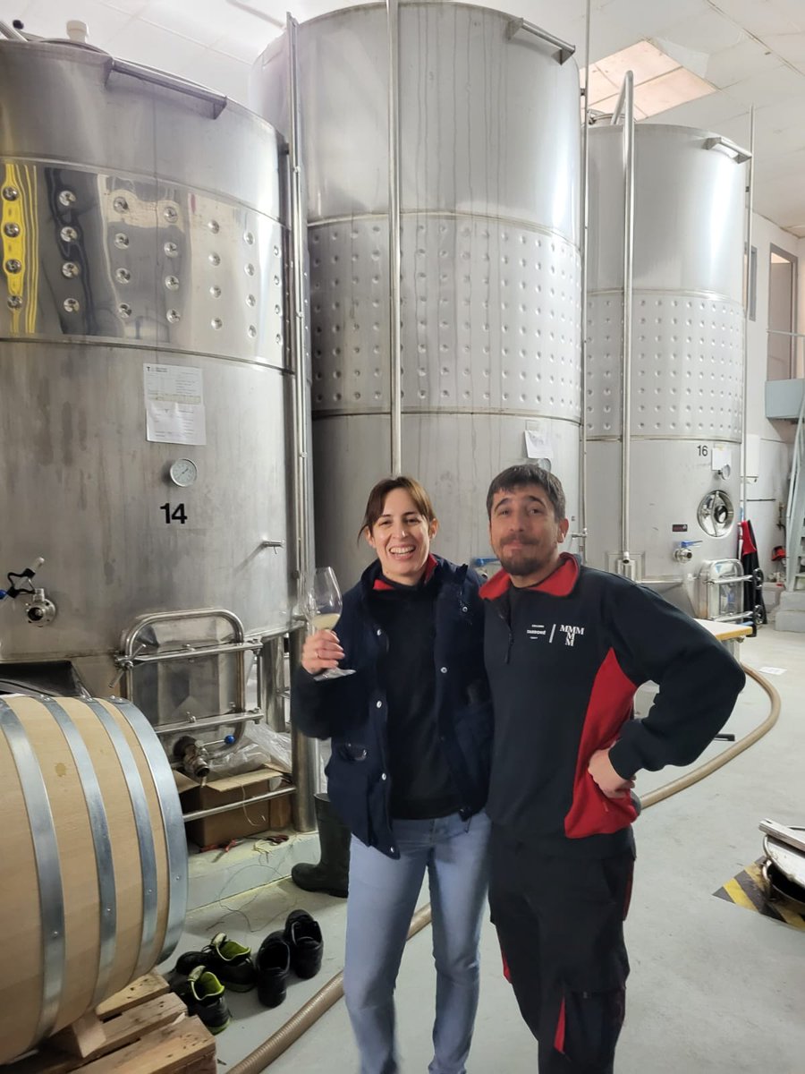 Cellers Tarroné tweet media