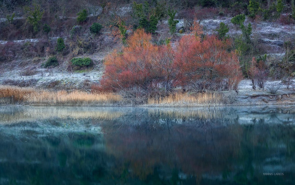 This tranquil lakeside scene captures the essence of seasonal change. Find my photography at link in profile.

#LandscapePhotography #AutumnVibes #WinterIsComing #NatureCapture #PhotoOfTheDay #Greece #GreeceIs #yannislarios #landscapephoto #landscapephotographer