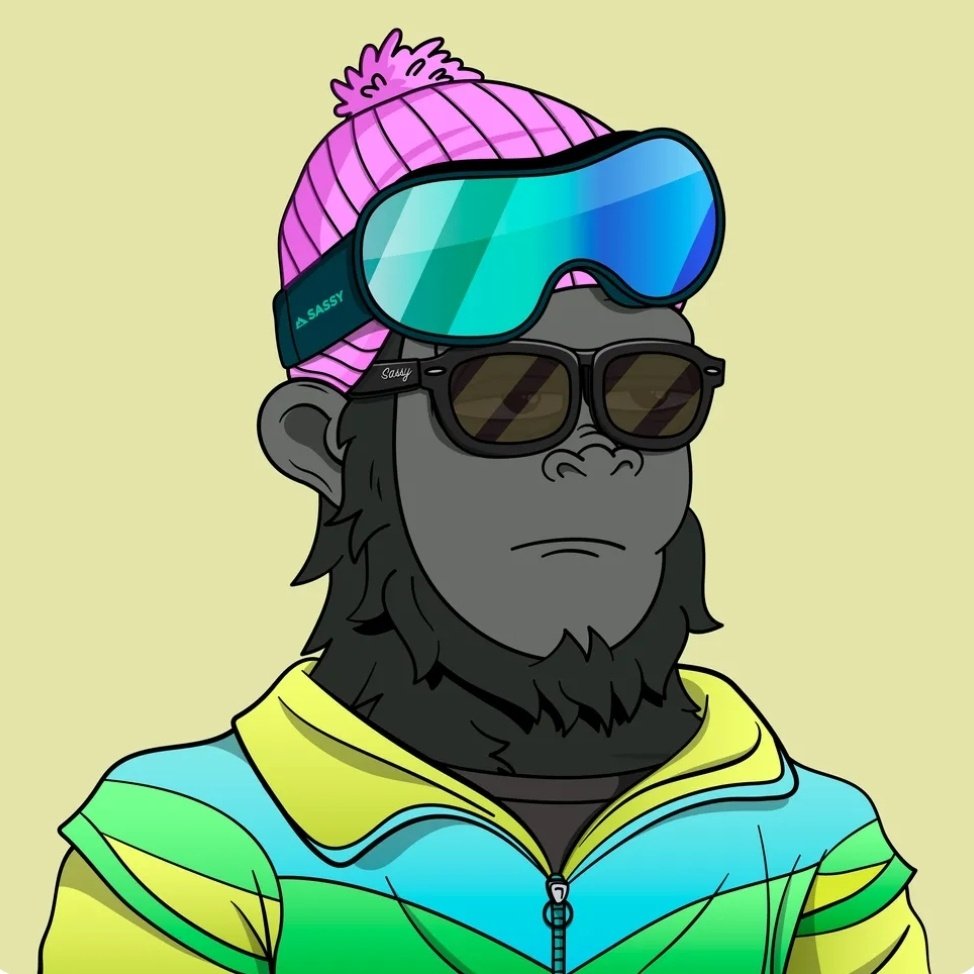 Gfunk315's tweet photo. @ShreddingSassy As Sassy as ever 🙌 https://t.co/UZOG6wZ0vE