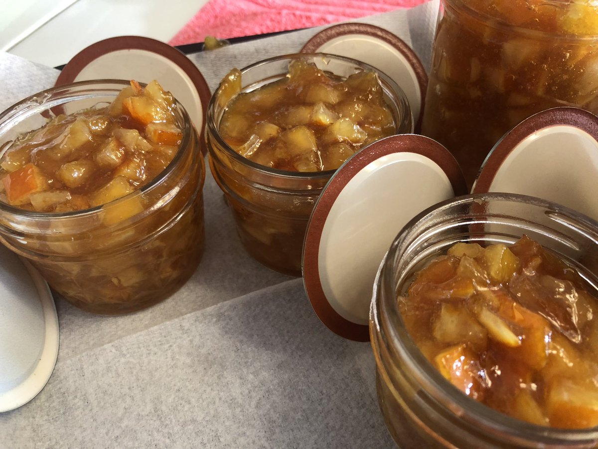 As much as I love knowing what is going on “politically “  most of it is repetitive & sad mostly all doom n gloom.  My brain can only handle so much sadness. I need more #baking, #canning and #gardens on my feed! I need #healthy #friends n #trends! Here is my #OrangeMarmalade