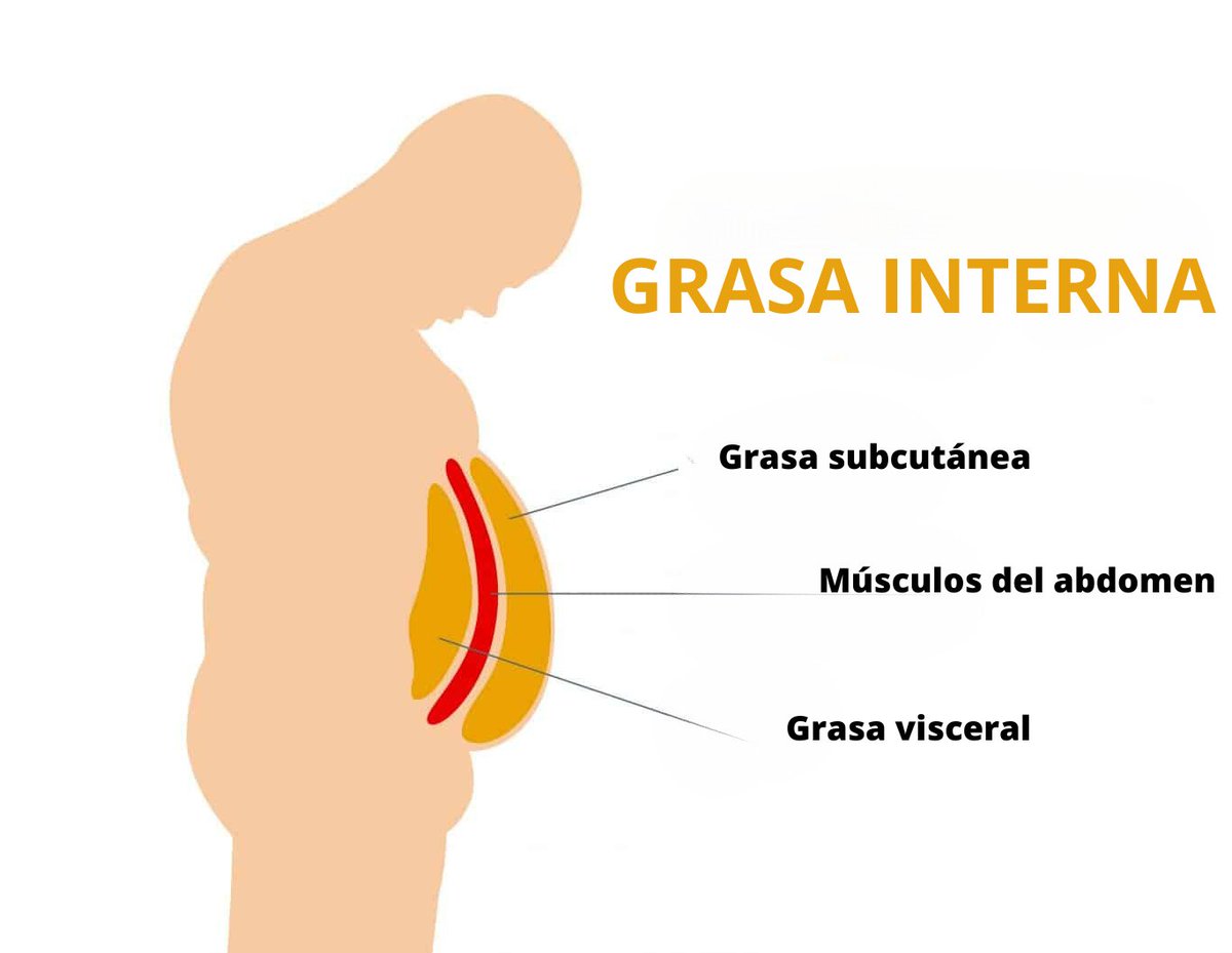 PropositoyVida's tweet photo. La grasa visceral es un factor de riesgo gigante para las enfermedades del corazón, la diabetes y varios tipos de cáncer.

Aquí está su hoja de ruta de 8 pasos para perder la grasa visceral, arreglar su salud, y salvar su vida: https://t.co/40c9ZGvPy1