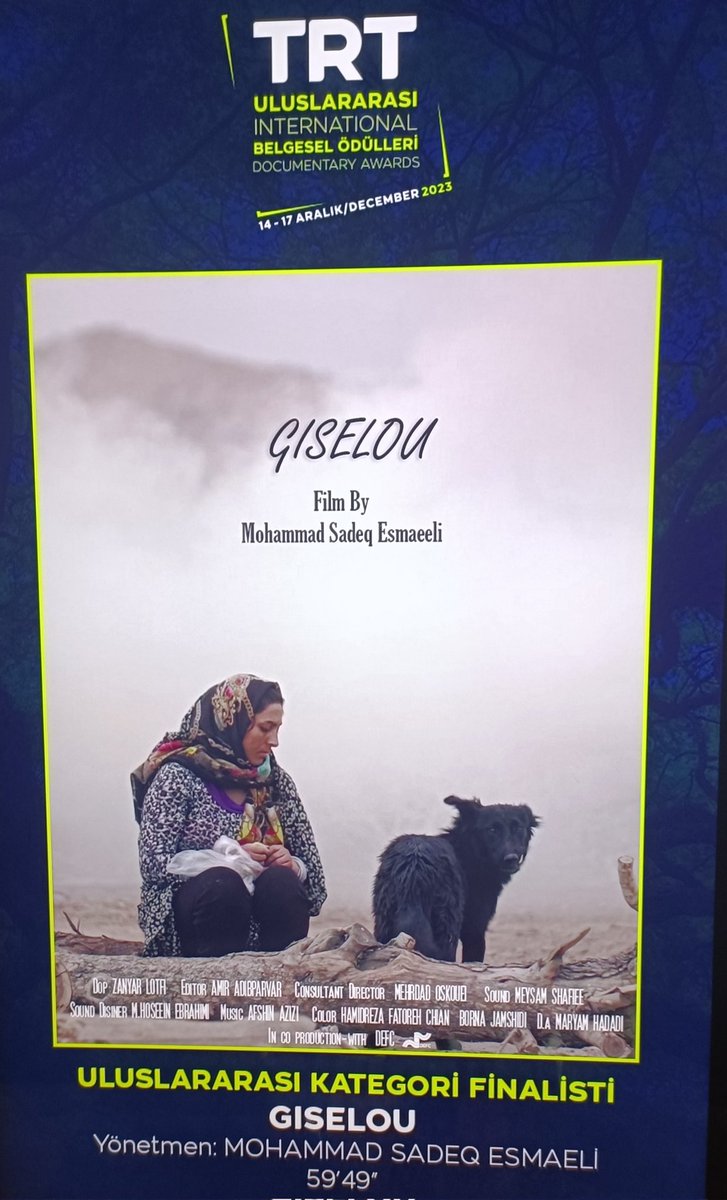 İranlı belgesel yönetmeni Mohammad Sadeq Esmaeeli’nin “Giselou” isimli belgeselini bügün TRT 14. Uluslararası Belgesel Ödülleri programında izledim.

İranlı Zehra Tabari 15 yaşında kendini İranlı gibi tanıtıp kandırarak Afganistan’a götüren eski kocasını arıyor.
Ondan boşanması