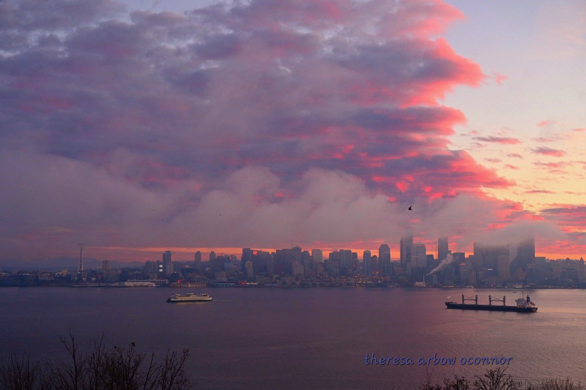 Sunday sunrise in Seattle is so pretty in the fog ♡ @KSeattleWeather