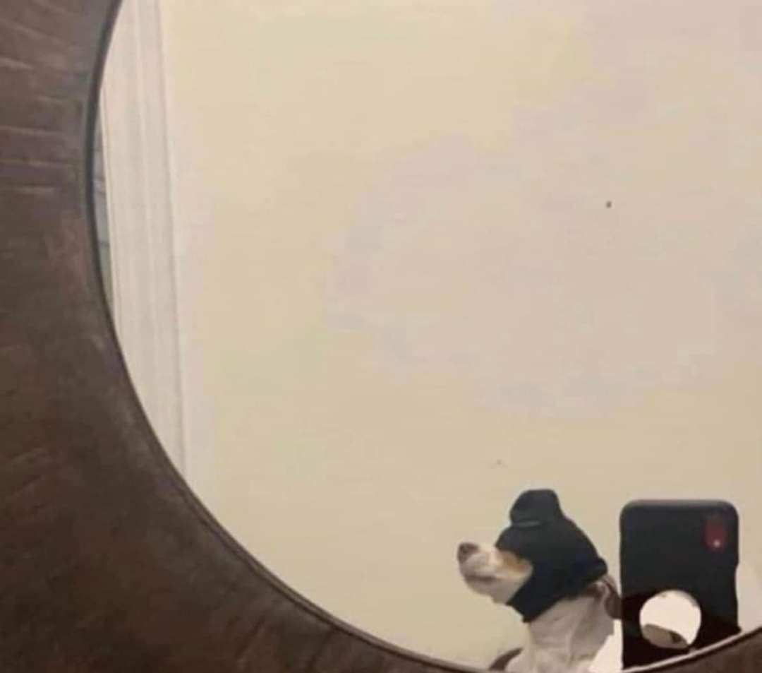 FredoInDaCut995's tweet photo. me looking left because nobody treats me right https://t.co/1ah4MKfrtt