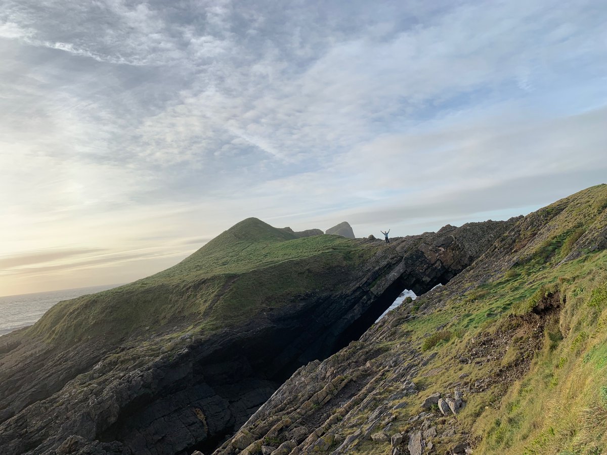 Dr Natasha Coleman tweet media