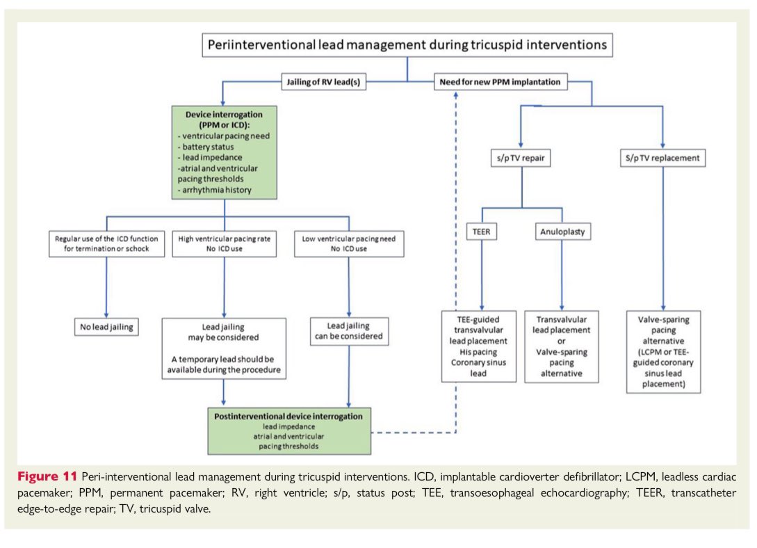 🔴 Tricuspid valve disease & cardiac implantable electronic devices @ESC_Journals #CardioEd #Cardiology #CardioTwitter #FOAMed