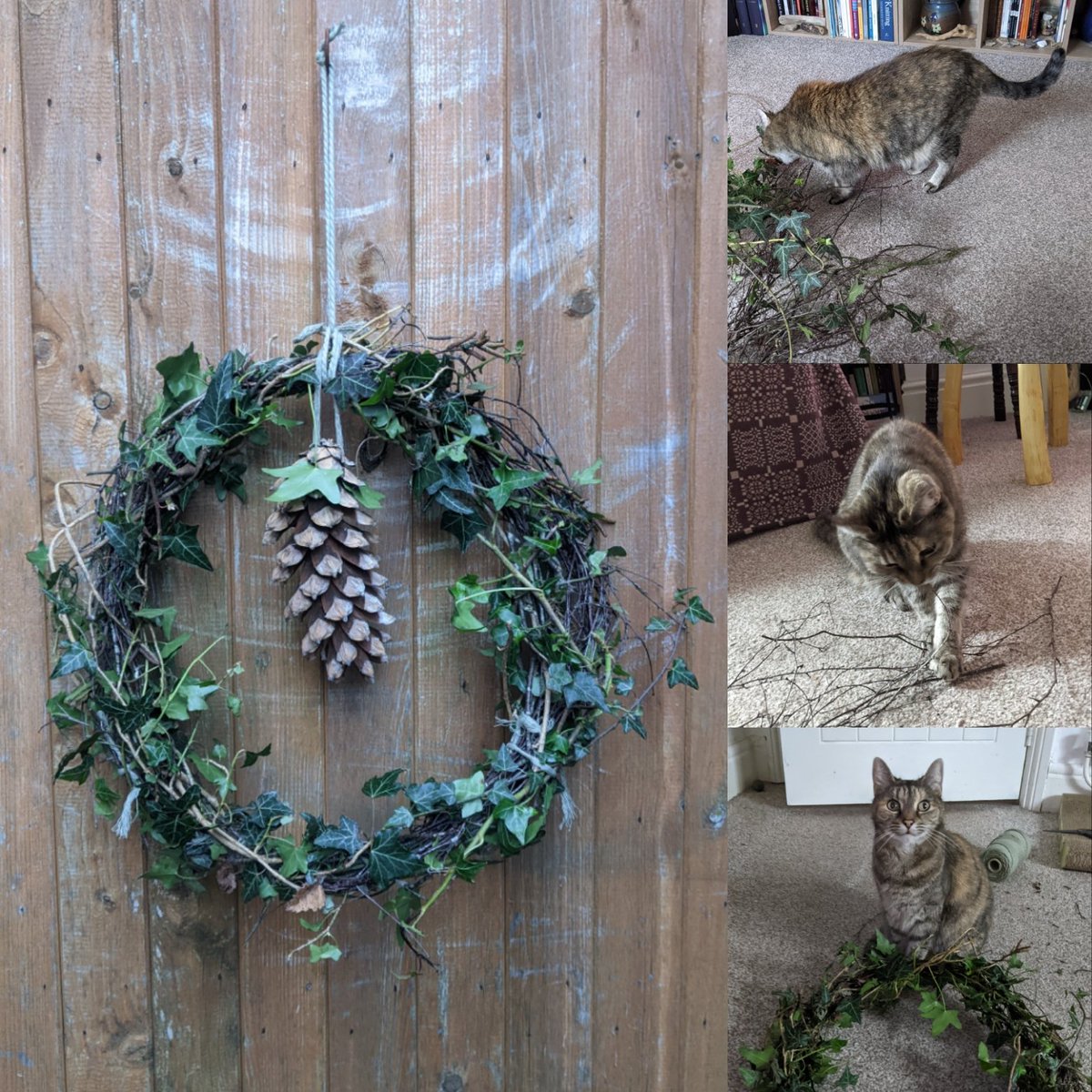 MrsCattyE's tweet image. #ChristmasCrafting my annual #MakingWinter wreath. The Duchess oversaw the whole process this year.  Thank you @silverpebble.