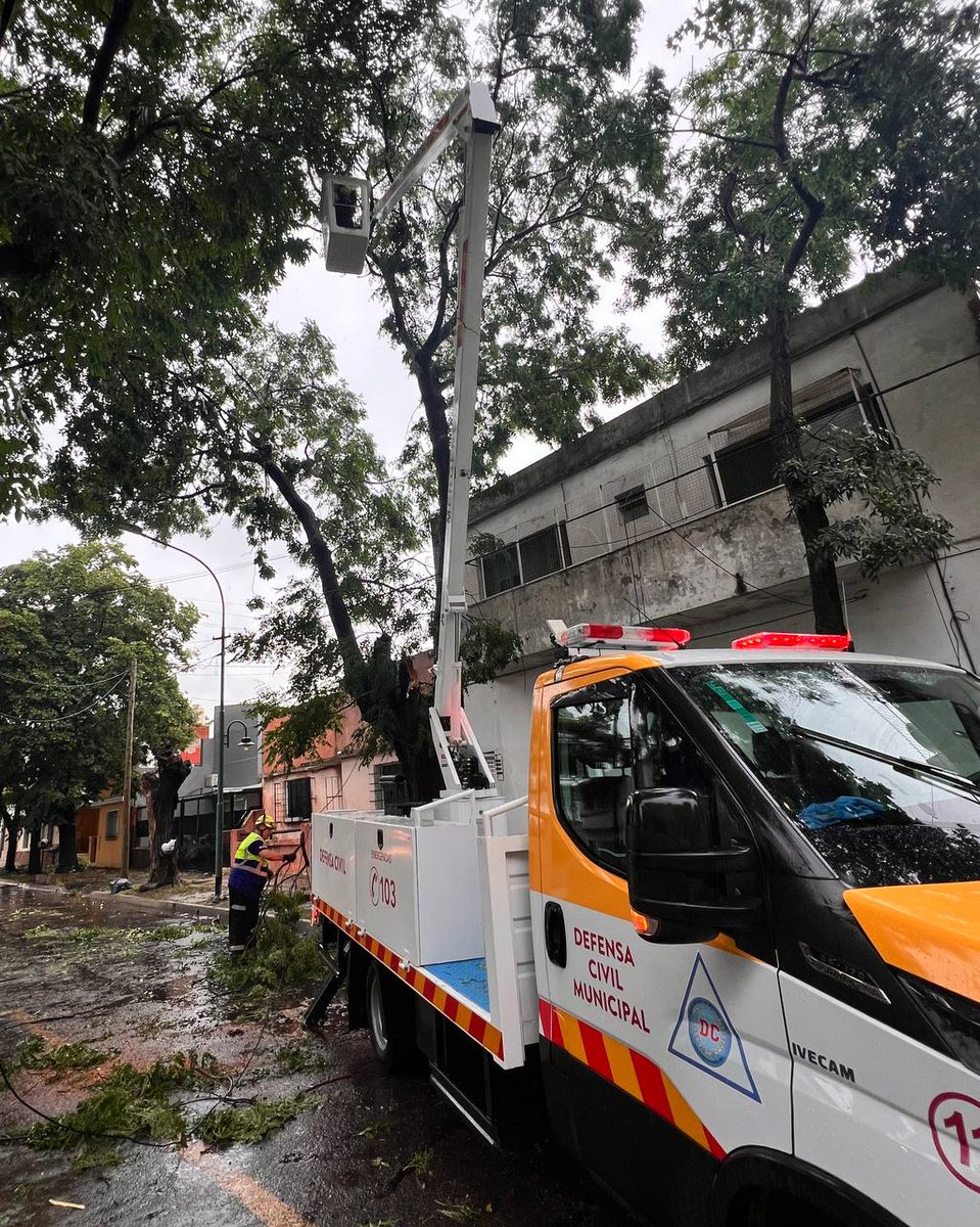 Sole Martinez tweet media