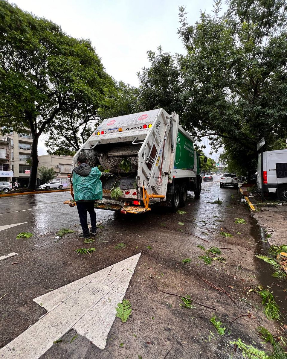 Sole Martinez tweet media