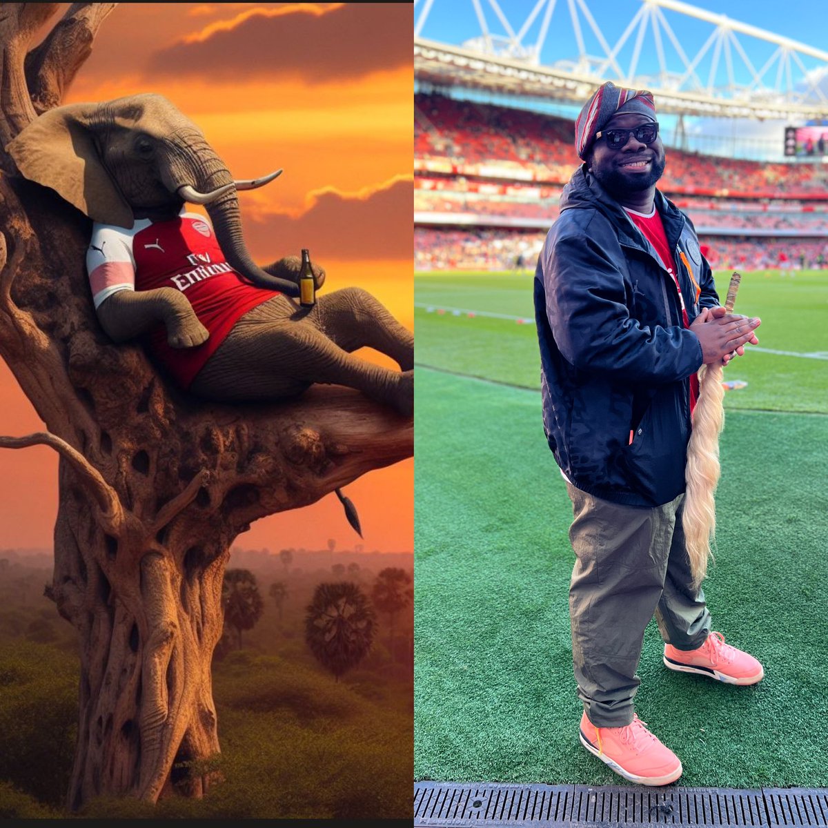 And the Elephant is back on top of the tree. Come on Arsenal 😂✌🏾.
•
#arsenal #liverpool #ARSBHA #manchesterunited #epl #LIVMNU