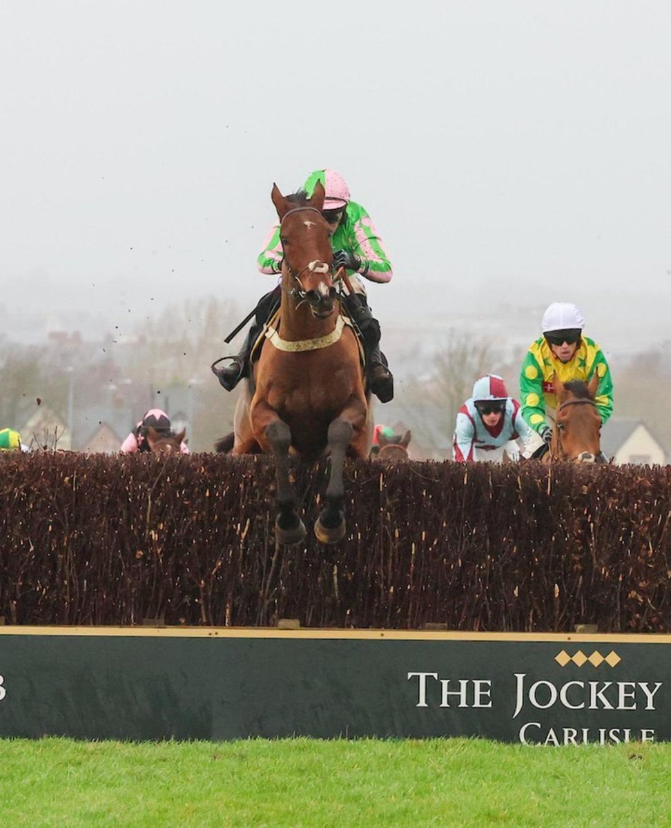 So pleased wIth GO BOY winning nicely today with @mania450 @CarlisleRaces And also really pleased with HOLY BIRD with her 2nd on debut. Two really nice horses.