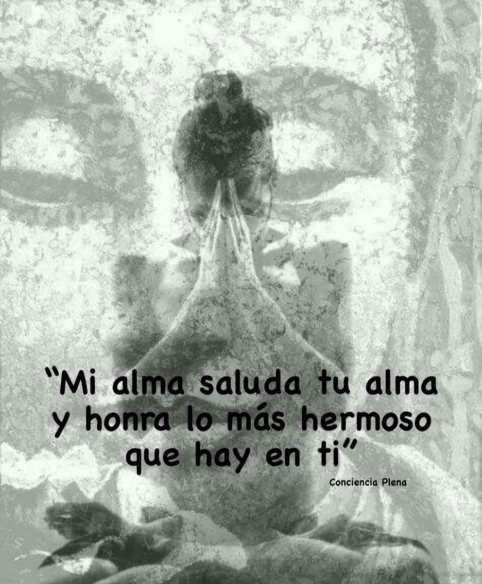 alexacorderor's tweet image. 