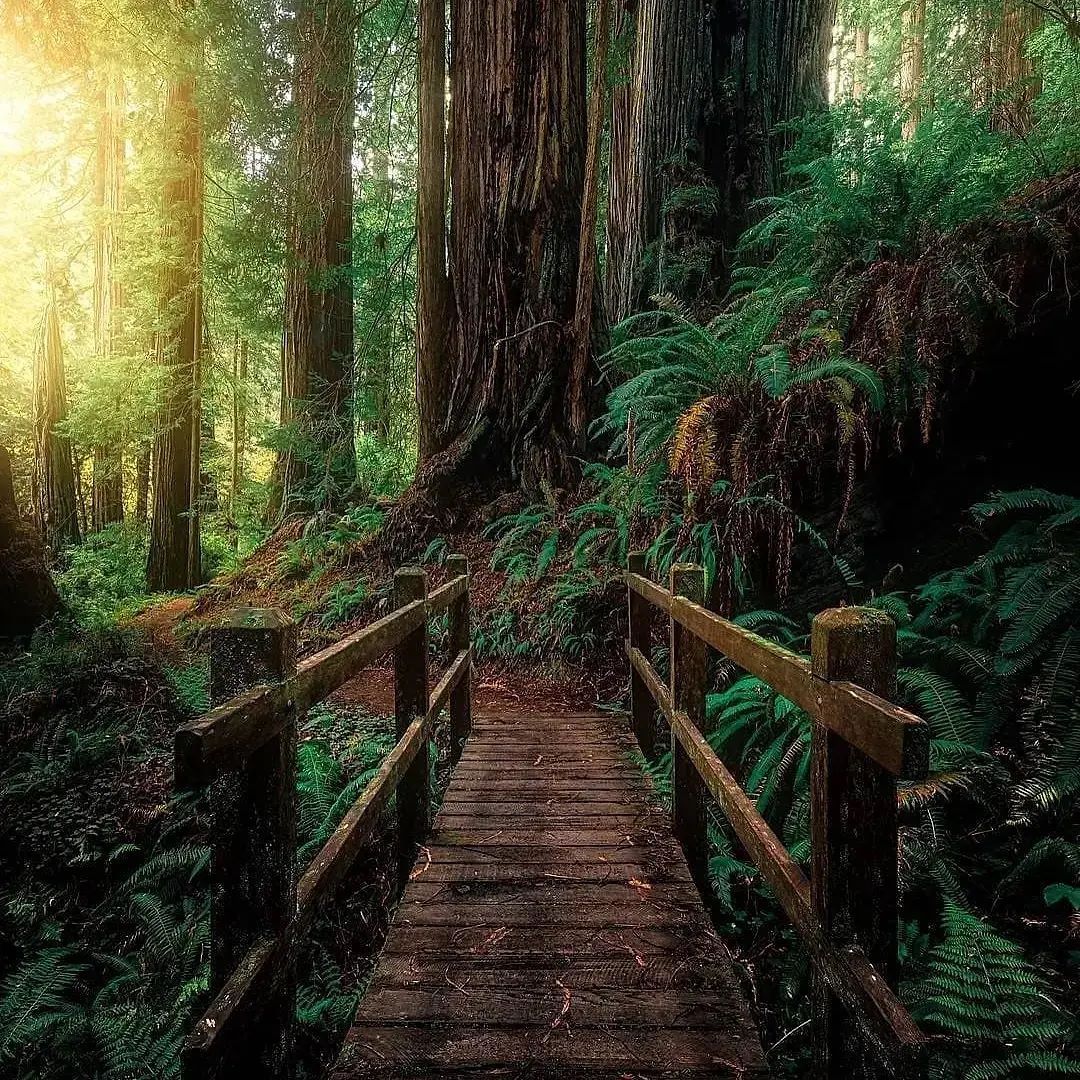 Some ﾞlove ⳿is ᠎destined ﾠto ᠍be ﾞsilent ‍for ⬝a ﾞlifetime, ᠎and ⳿some  people ᠍are destined ﾠto ᠎be ⬝missed.