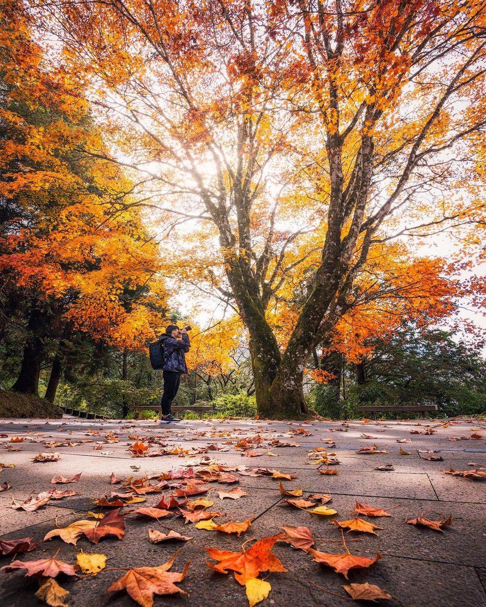 I ‍will ⳿swallow ﾠyou ﾠwhole ᠍like ​a giant ﾠpill