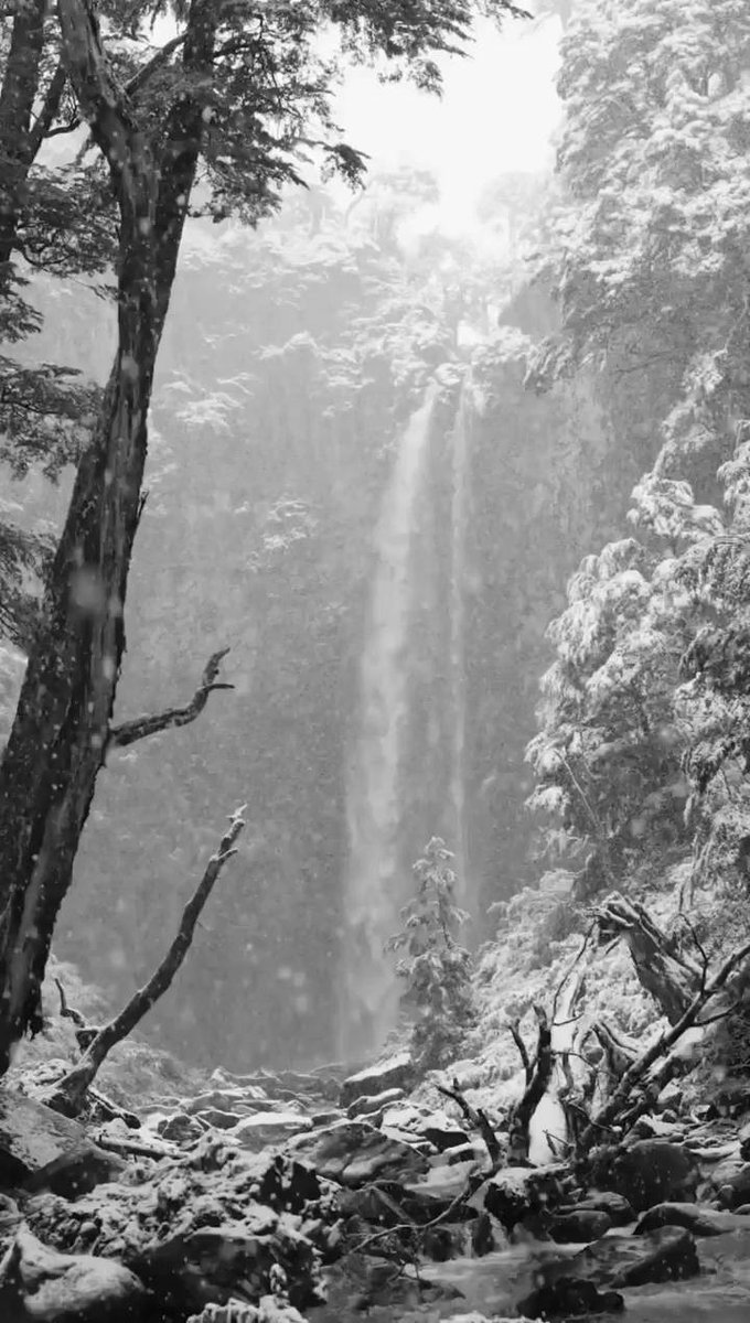 Waiting for ⬝every ᱸpassing ᠍car  to let ⬝me ᱸgo ᠍further