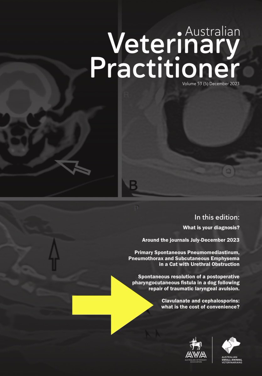 ri_scarborough (@risca_ams) on Twitter photo Our latest article: most of our clavulanate and cefovecin use in Aus dogs + cats is simply not justified by the microbiology. Vets, it’s time to bring back the old-school antibiotics that still work really well - amoxicillin and TMS. sciquest.org.nz/browse/publica… <a href="/UniMelb/">University of Melbourne</a> <a href="/NCAS_Aus/">NCAS_Australia</a> Our latest article: most of our clavulanate and cefovecin use in Aus dogs + cats is simply not justified by the microbiology. Vets, it’s time to bring back the old-school antibiotics that still work really well - amoxicillin and TMS. sciquest.org.nz/browse/publica… <a href="/UniMelb/">University of Melbourne</a> <a href="/NCAS_Aus/">NCAS_Australia</a>