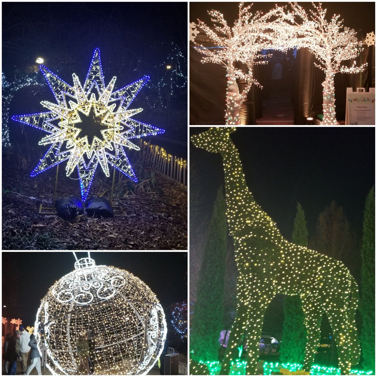 Xmas at the St. Louis zoo.
