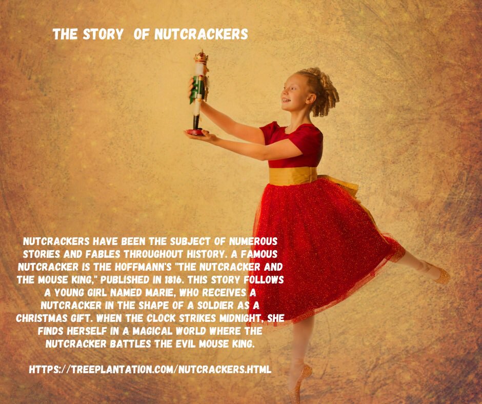 Made of wood, Nutcrackers have been the subject of numerous stories and fables throughout history. A famous Nutcracker is the Hoffmann's 'The Nutcracker and the Mouse King,' published in 1816. This story follows a young girl named Marie, who receives a nutcracker in the shape of…