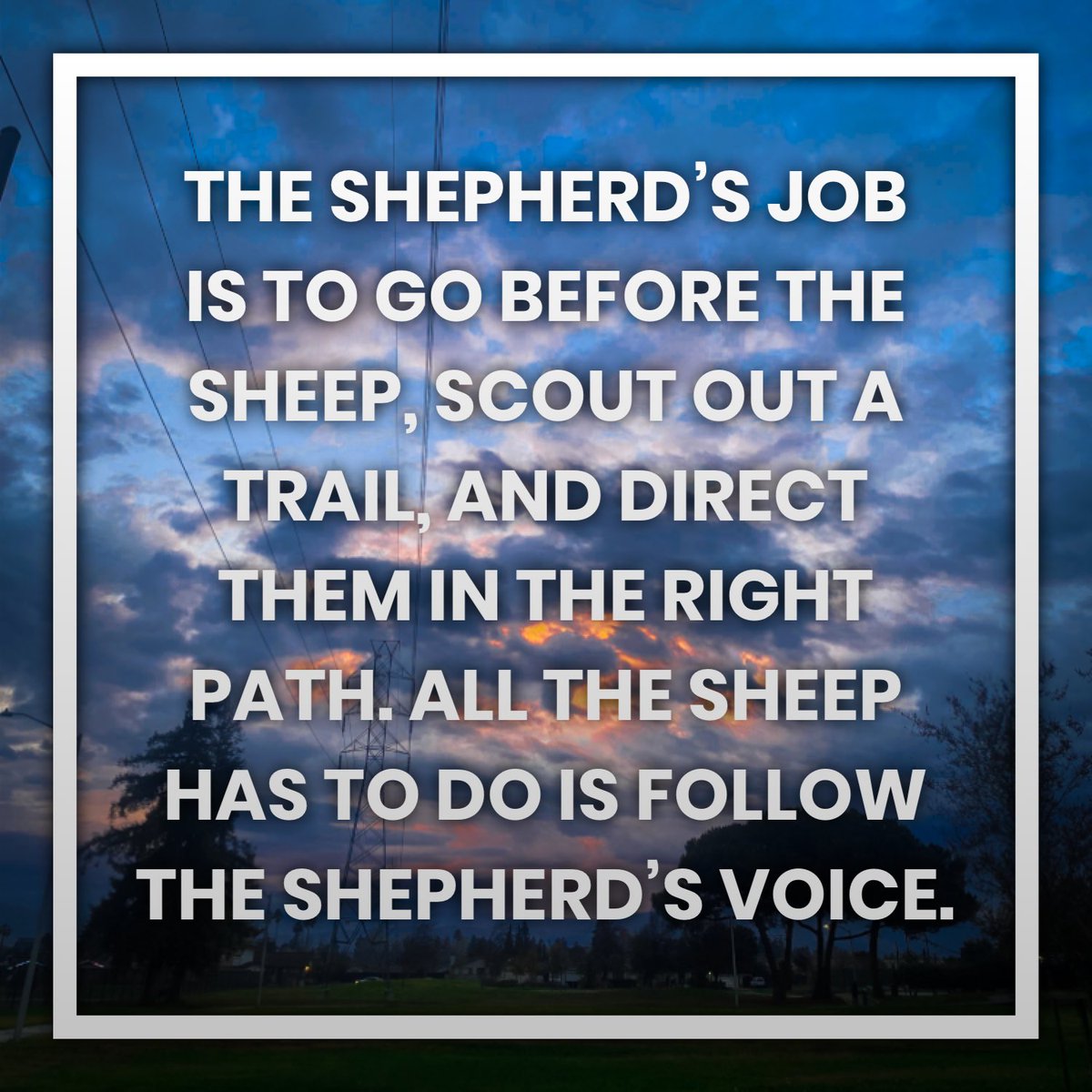 MoatesJoseph's tweet image. He’s already gone before me, and cleared a path to the next destination! I just have to follow His voice. 
#shepherd #bible #thoughts #encouragement