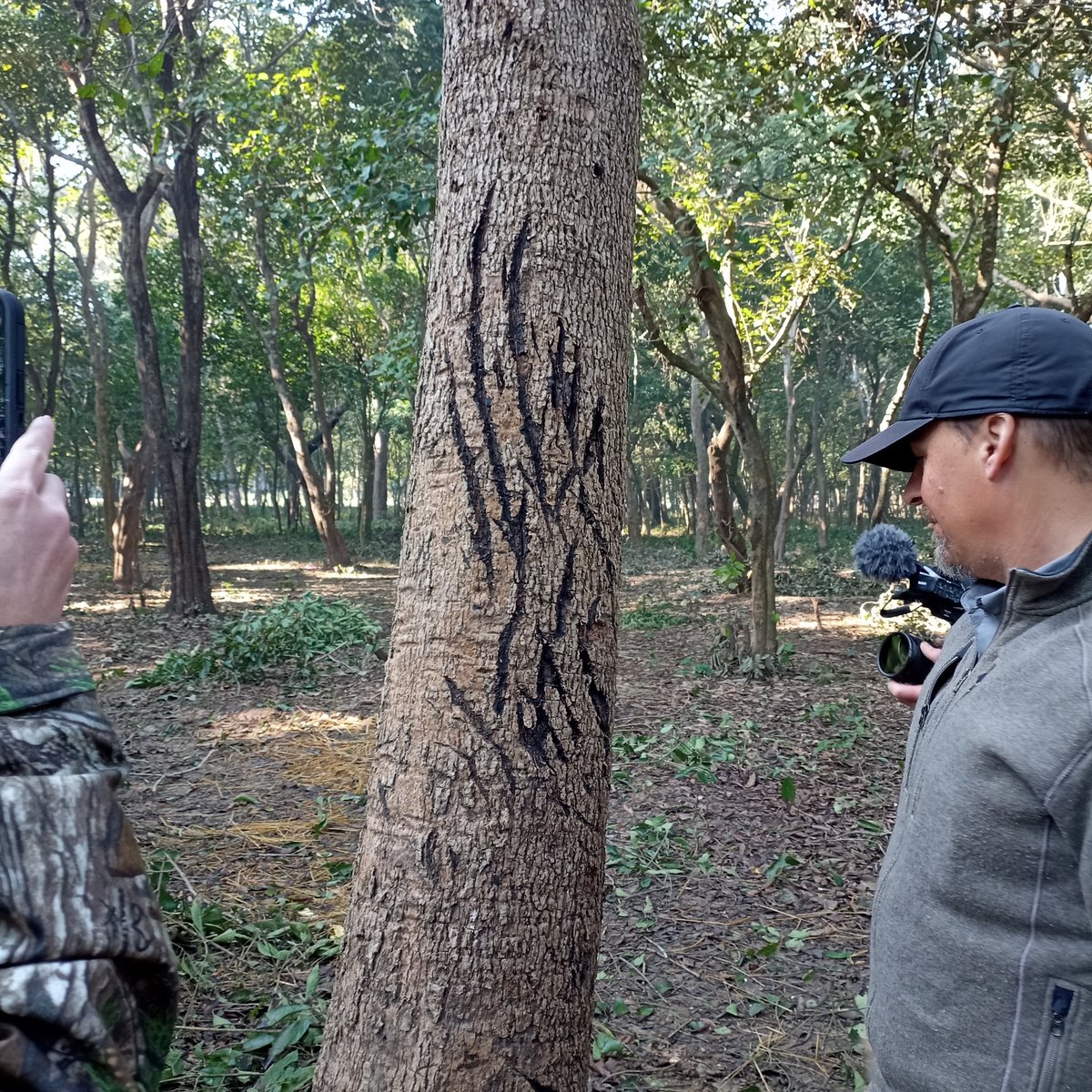 arikkershenbaum's tweet image. 🐯🐅Exciting new project! We're in #Nepal 🇳🇵 working on preventing human-wildlife conflict with large predators like #tigers and #leopards. The local Tharu people are committed to protecting their native wildlife, but suffer unacceptable losses as the natural habitat shrinks