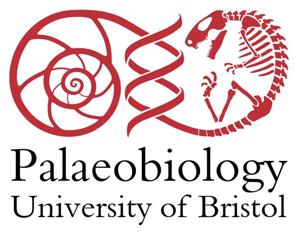 Just a few days left to apply! We're hiring a Lecturer/ Senior Lecturer in Palaeobiology @BristolPalaeo @UoBEarthScience @BristolUni. Researchers of any branch of the tree of life and interval of Earth History welcome. Application deadline Dec 20. shorturl.at/hpxO5