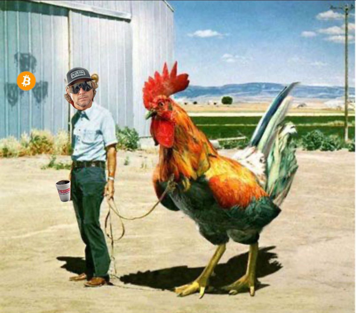 GoingParabolic's tweet image. I’m home with my Coq.