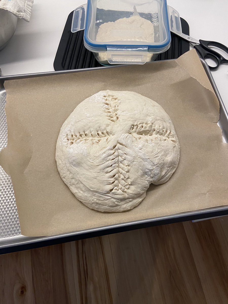 datninjarayquan's tweet image. Had to unlock one more skill before the year ended #breadmaker