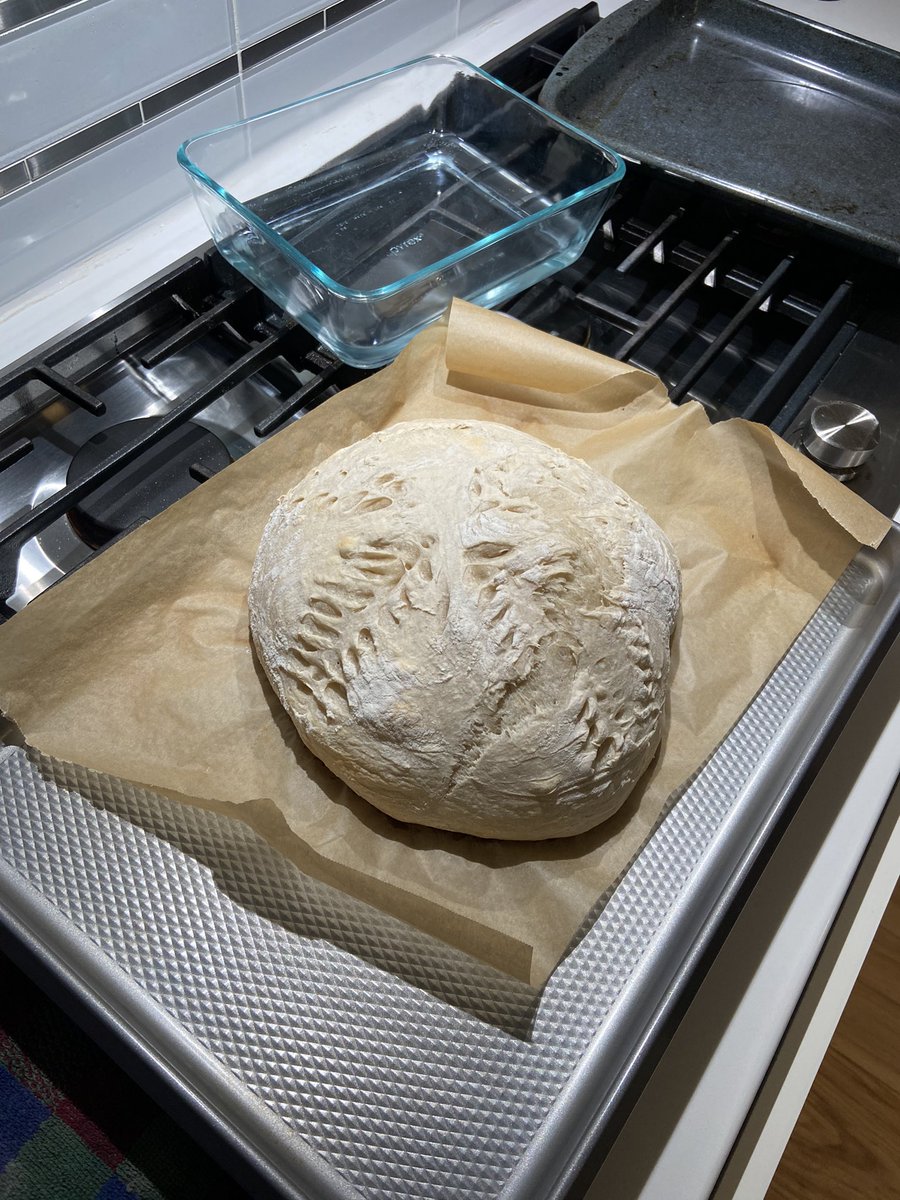 datninjarayquan's tweet image. Had to unlock one more skill before the year ended #breadmaker