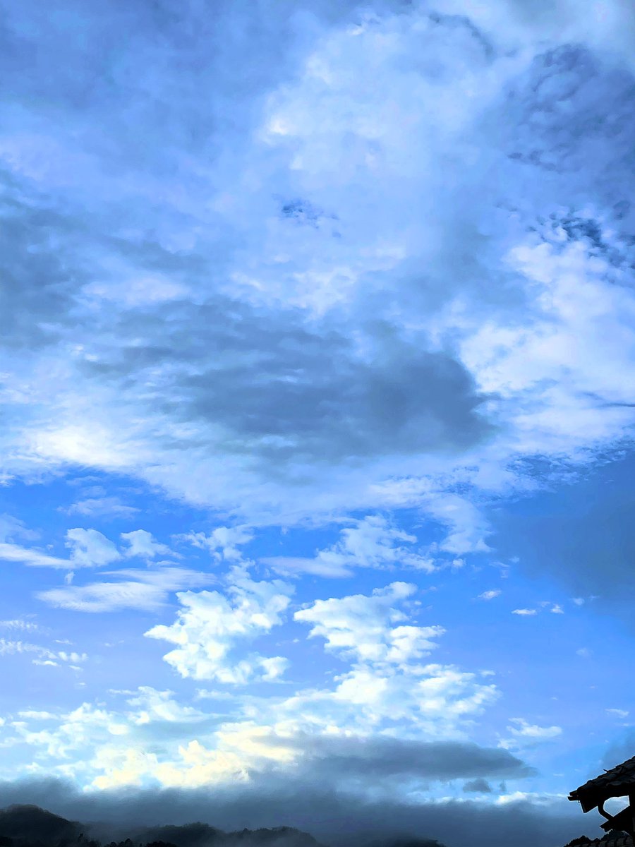 寒くても、時々青空が見えると嬉しくなるね。
#bluesky #田舎の空 #田舎好きな人と繋がりたい