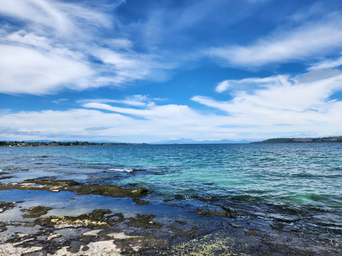 GageGray's tweet photo. Shout out New Zealand ☀️ https://t.co/K0tGnzm0O6