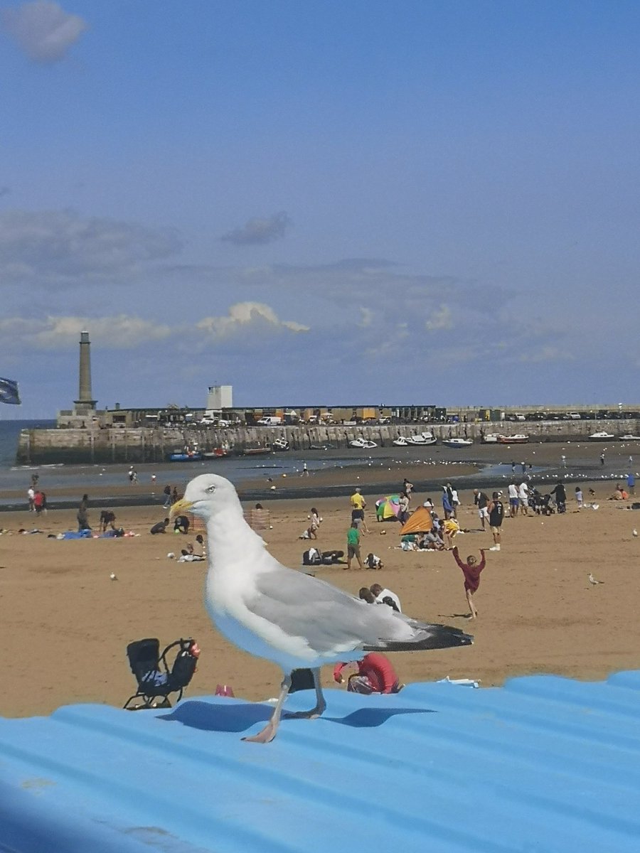 GaryEva04679693's tweet image. gofund.me/ad7d7c2e #garyevans #GoFundMe #Getsupport