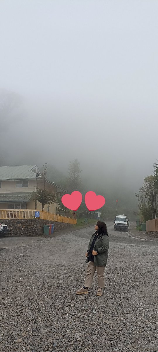 yulia05's tweet photo. Trust me, everything has been arranged https://t.co/0pWIKYXEVY