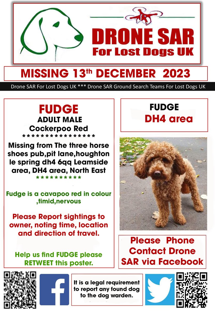 #LostDog #Alert FUDGE
Male Cockerpoo Red (Age: Adult)
Missing from The three horse shoes pub,pit lane,houghton le spring dh4 6qq Leamside area, DH4 area, North East on Wednesday, 13th December 2023 #DroneSAR #MissingDog