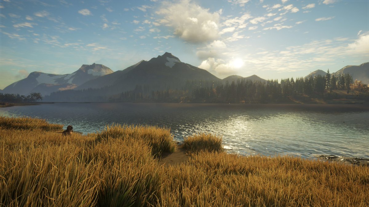 Wenn man schon in echt nicht dazu kommt so viel durch die Natur zu stampfen wie man will sollte man wenigstens in Games die Schönheit eben dieser Natur genießen dürfen. Dieses Spiel ist einfach 6-7 Jahre alt like what?