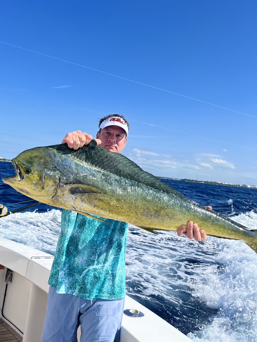 Juice Kiffin juicekiffin Twitter Profile Sotwe