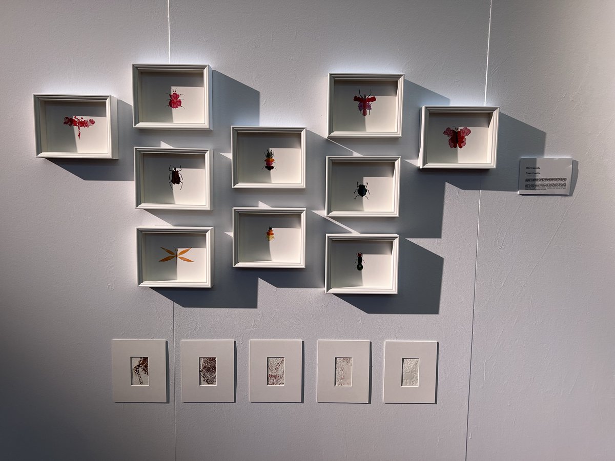 Glenaeon Rudolf Steiner School tweet media